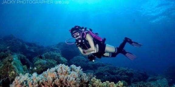 女人一定要结婚,要组建家庭吗?-您的知识星球平台首选